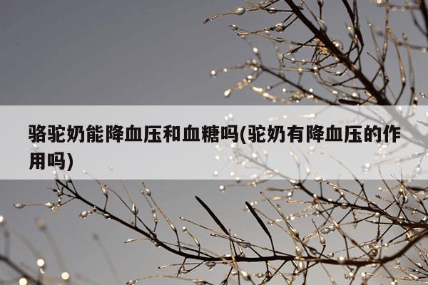 骆驼奶能降血压和血糖吗(驼奶有降血压的作用吗)