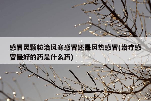 感冒灵颗粒治风寒感冒还是风热感冒(治疗感冒最好的药是什么药)