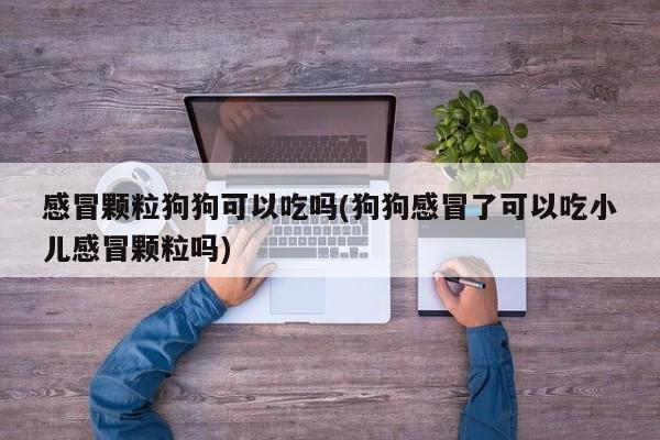 感冒颗粒狗狗可以吃吗(狗狗感冒了可以吃小儿感冒颗粒吗)