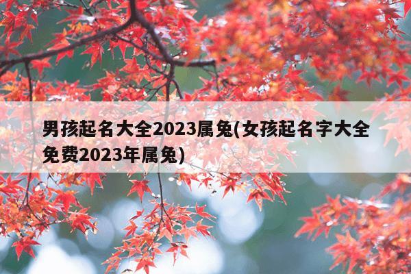 男孩起名大全2023属兔(女孩起名字大全免费2023年属兔)