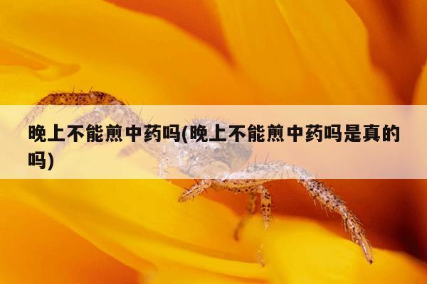 晚上不能煎中药吗(晚上不能煎中药吗是真的吗)