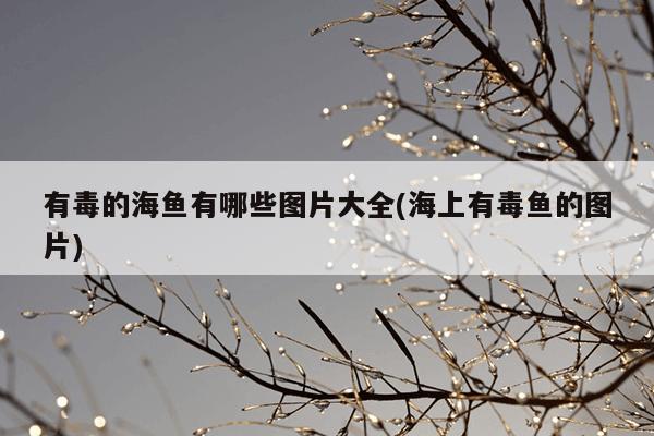 有毒的海鱼有哪些图片大全(海上有毒鱼的图片)