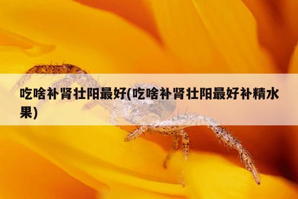 吃啥补肾壮阳最好(吃啥补肾壮阳最好补精水果)