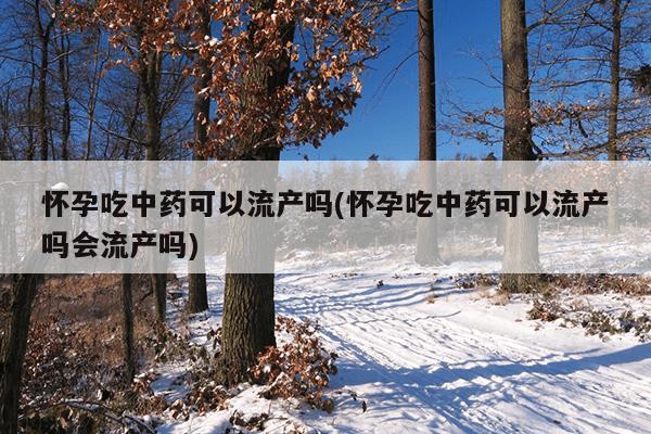 怀孕吃中药可以流产吗(怀孕吃中药可以流产吗会流产吗)