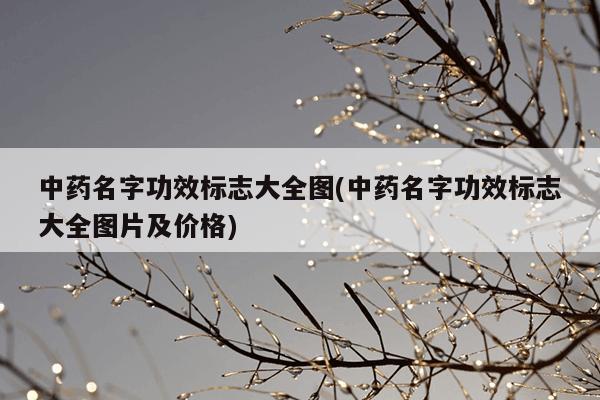 中药名字功效标志大全图(中药名字功效标志大全图片及价格)