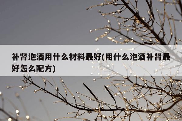 补肾泡酒用什么材料最好(用什么泡酒补肾最好怎么配方)