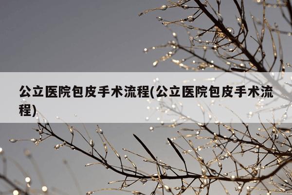 公立医院包皮手术流程(公立医院包皮手术流程)