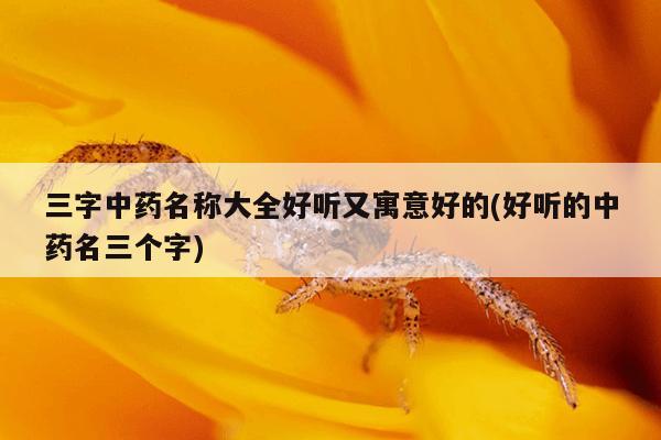 三字中药名称大全好听又寓意好的(好听的中药名三个字)