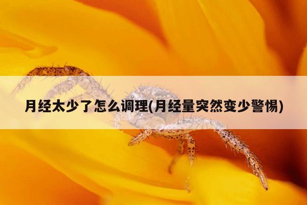 月经太少了怎么调理(月经量突然变少警惕)