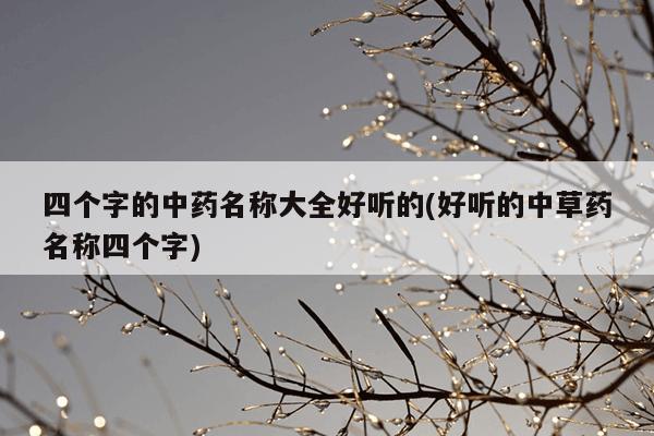 四个字的中药名称大全好听的(好听的中草药名称四个字)
