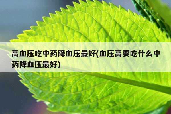 高血压吃中药降血压最好(血压高要吃什么中药降血压最好)