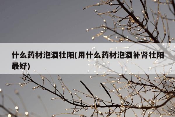 什么药材泡酒壮阳(用什么药材泡酒补肾壮阳最好)