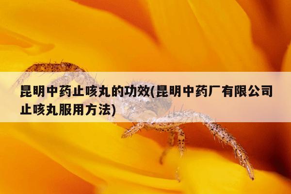 昆明中药止咳丸的功效(昆明中药厂有限公司止咳丸服用方法)