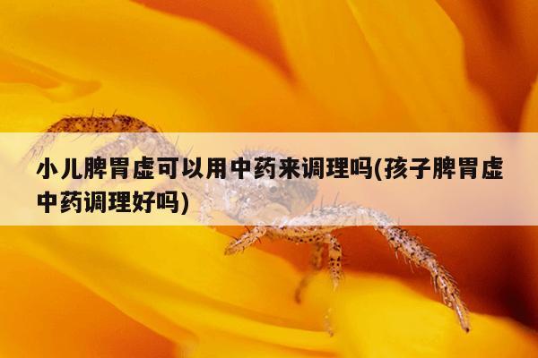 小儿脾胃虚可以用中药来调理吗(孩子脾胃虚中药调理好吗)