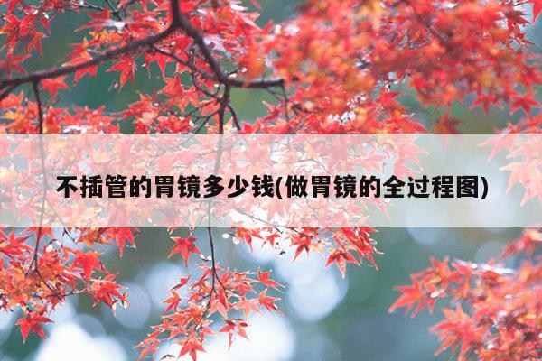 不插管的胃镜多少钱(做胃镜的全过程图)