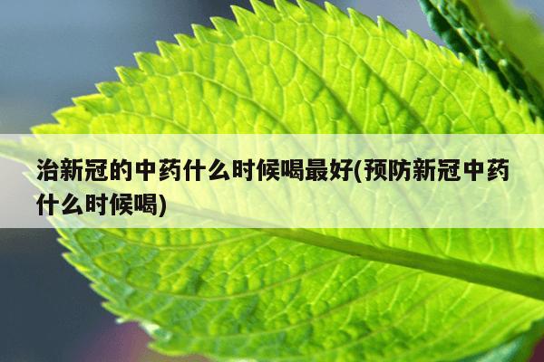 治新冠的中药什么时候喝最好(预防新冠中药什么时候喝)