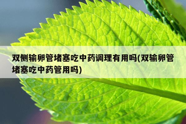 双侧输卵管堵塞吃中药调理有用吗(双输卵管堵塞吃中药管用吗)
