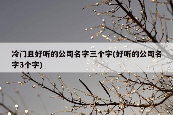 冷门且好听的公司名字三个字(好听的公司名字3个字)