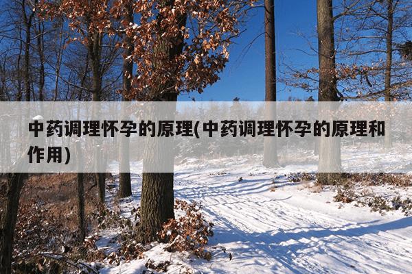 中药调理怀孕的原理(中药调理怀孕的原理和作用)