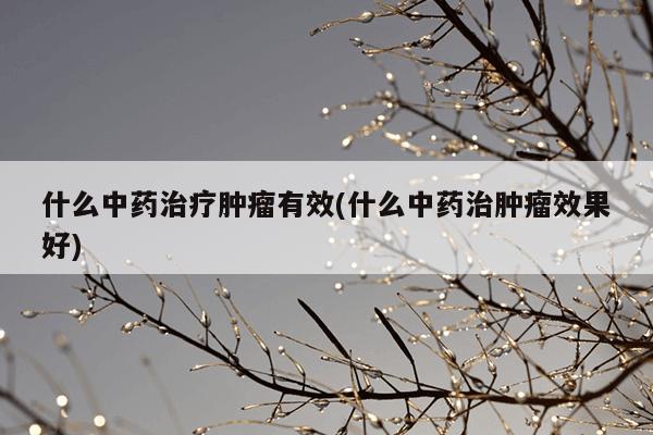 什么中药治疗肿瘤有效(什么中药治肿瘤效果好)