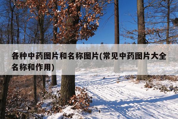 各种中药图片和名称图片(常见中药图片大全名称和作用)