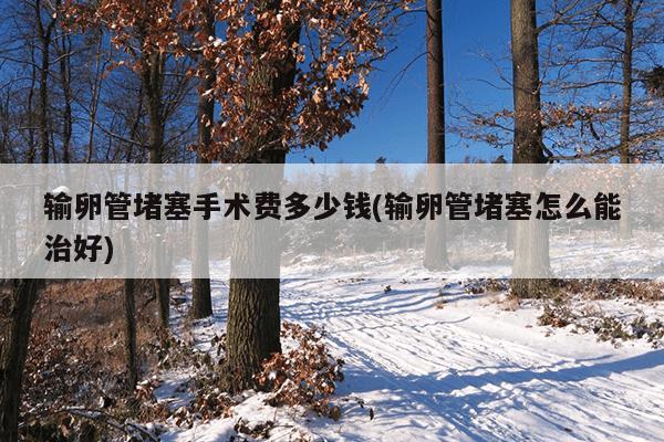 输卵管堵塞手术费多少钱(输卵管堵塞怎么能治好)