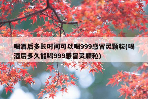 喝酒后多长时间可以喝999感冒灵颗粒(喝酒后多久能喝999感冒灵颗粒)