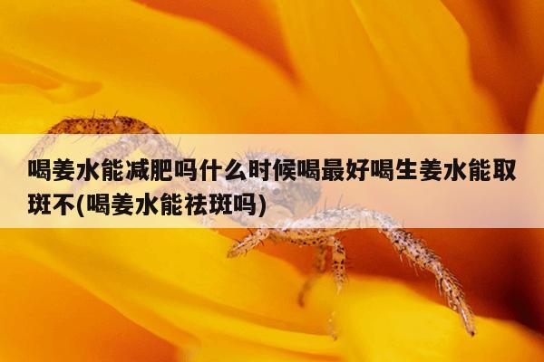 喝姜水能减肥吗什么时候喝最好喝生姜水能取斑不(喝姜水能祛斑吗)