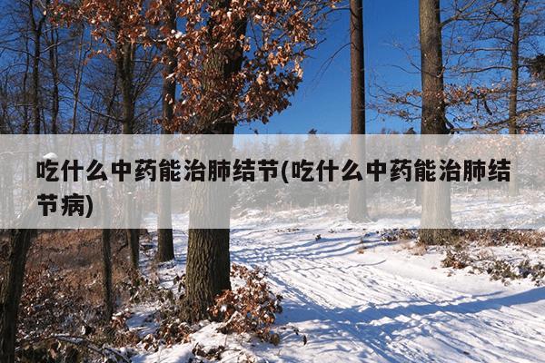 吃什么中药能治肺结节(吃什么中药能治肺结节病)