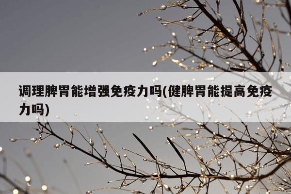 调理脾胃能增强免疫力吗(健脾胃能提高免疫力吗)
