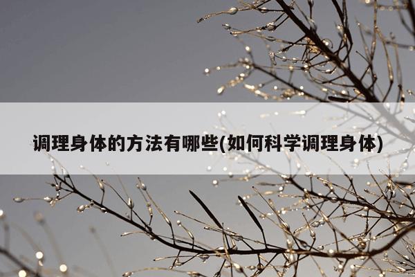 调理身体的方法有哪些(如何科学调理身体)