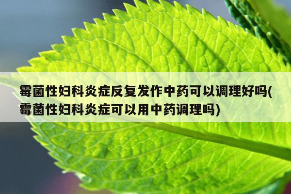 霉菌性妇科炎症反复发作中药可以调理好吗(霉菌性妇科炎症可以用中药调理吗)