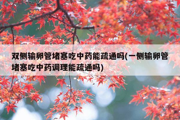 双侧输卵管堵塞吃中药能疏通吗(一侧输卵管堵塞吃中药调理能疏通吗)