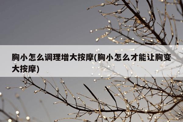 胸小怎么调理增大按摩(胸小怎么才能让胸变大按摩)