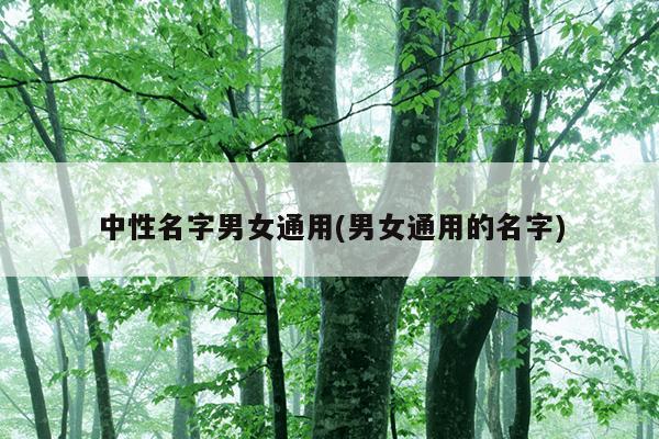 中性名字男女通用(男女通用的名字)