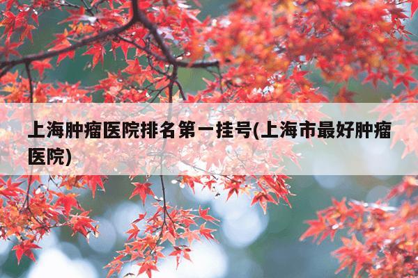 上海肿瘤医院排名第一挂号(上海市最好肿瘤医院)