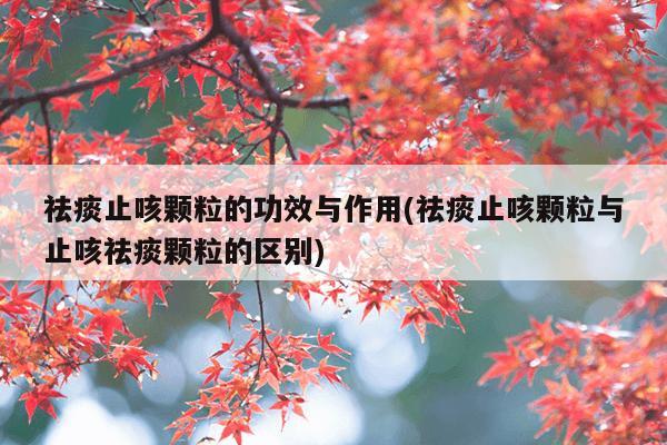 祛痰止咳颗粒的功效与作用(祛痰止咳颗粒与止咳祛痰颗粒的区别)