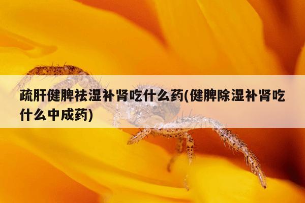 疏肝健脾祛湿补肾吃什么药(健脾除湿补肾吃什么中成药)