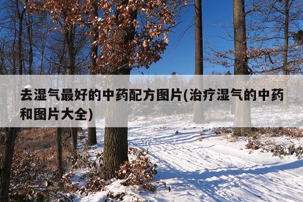 去湿气最好的中药配方图片(治疗湿气的中药和图片大全)