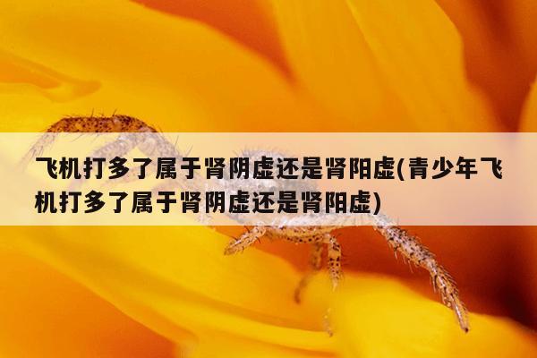 飞机打多了属于肾阴虚还是肾阳虚(青少年飞机打多了属于肾阴虚还是肾阳虚)