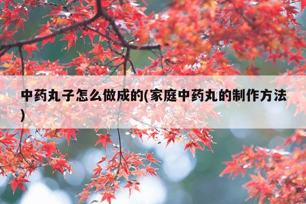 中药丸子怎么做成的(家庭中药丸的制作方法)