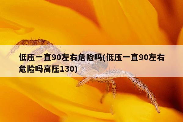 低压一直90左右危险吗(低压一直90左右危险吗高压130)
