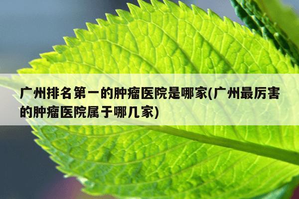 广州排名第一的肿瘤医院是哪家(广州最厉害的肿瘤医院属于哪几家)