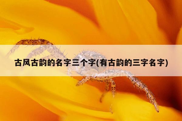 古风古韵的名字三个字(有古韵的三字名字)
