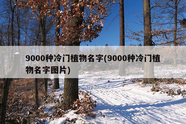 9000种冷门植物名字(9000种冷门植物名字图片)