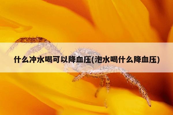 什么冲水喝可以降血压(泡水喝什么降血压)