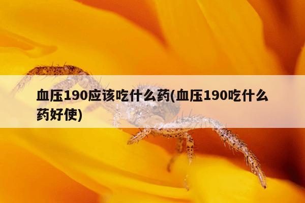 血压190应该吃什么药(血压190吃什么药好使)