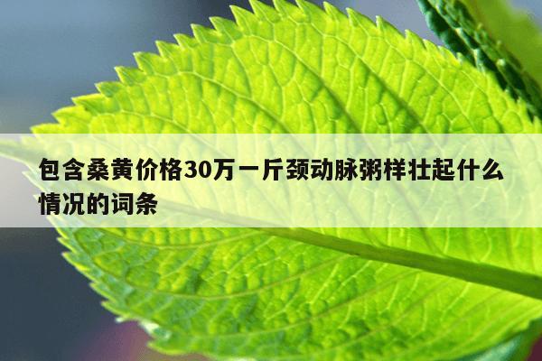 包含桑黄价格30万一斤颈动脉粥样壮起什么情况的词条