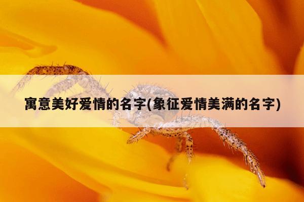 寓意美好爱情的名字(象征爱情美满的名字)