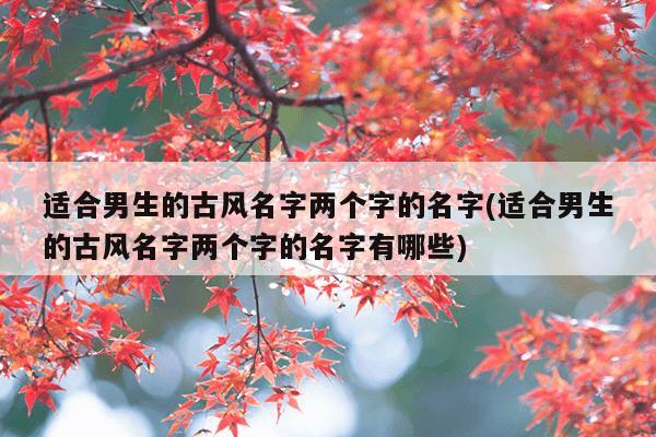 适合男生的古风名字两个字的名字(适合男生的古风名字两个字的名字有哪些)